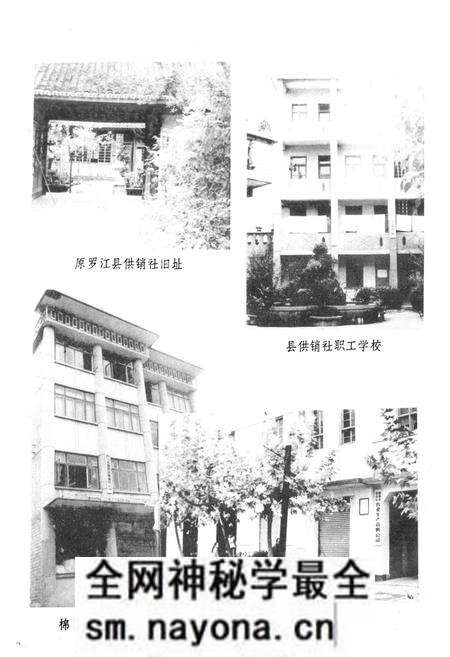 《德阳县供销合作社志》.pdf电子版_四川省志预览图4 《德阳县供销合作社志》.pdf电子版_四川省志预览图4