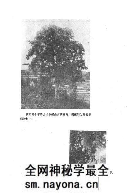 《雅安市林业志》.pdf电子版_四川省志预览图1
