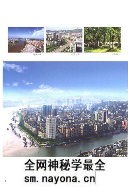 《泸州市人民政府志1991-2010》.pdf电子版_四川省志预览图3