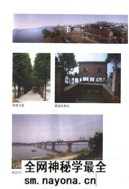 《黄湓村志》.pdf电子版_浙江省志预览图5