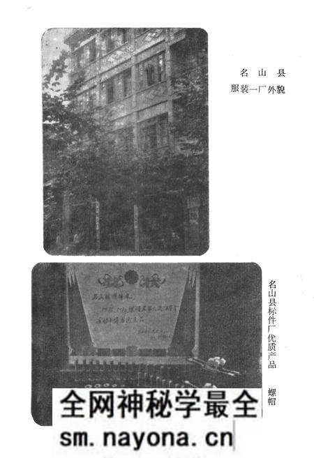 《名山县手工业志》.pdf电子版_四川省志预览图4