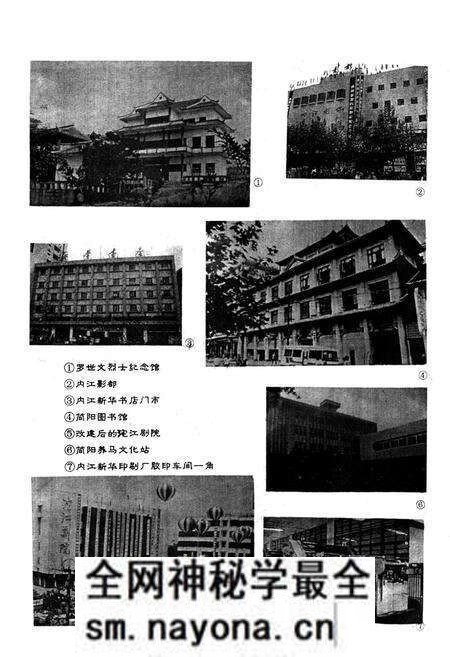 《内江地区文化志》.pdf电子版_四川省志预览图3