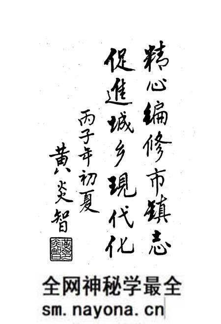 《武清县 王庆坨镇志》.pdf电子版_天津市志预览图3