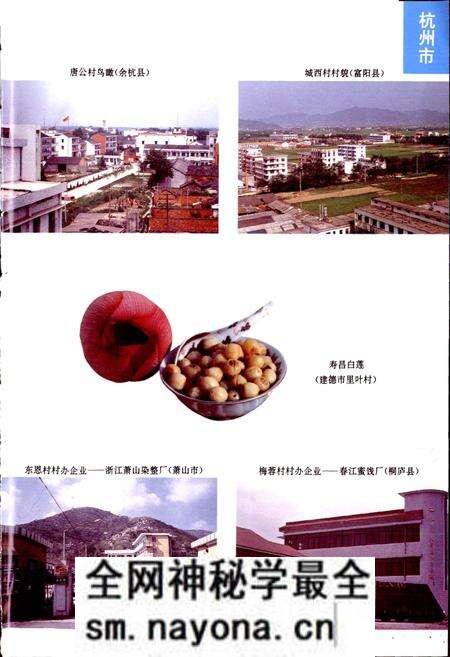 《浙江省名村志（上）》.pdf电子版_浙江省志预览图5