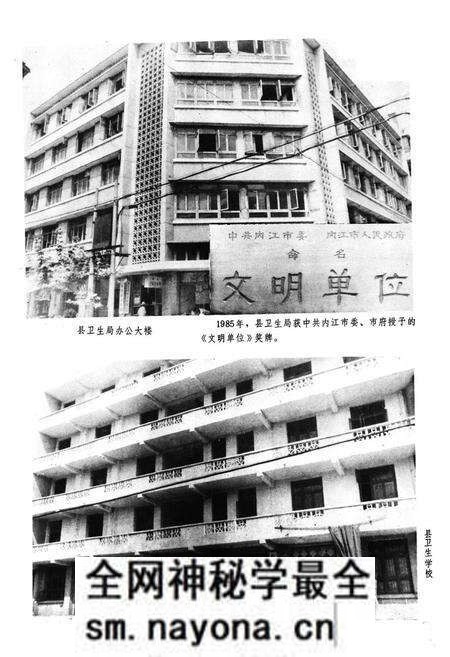 《安岳县卫生志644-1985》.pdf电子版_四川省志预览图4 《安岳县卫生志644-1985》.pdf电子版_四川省志预览图4