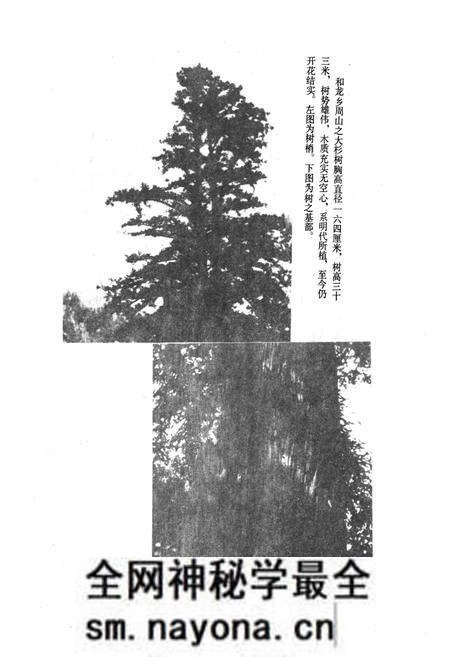 《雅安市林业志》.pdf电子版_四川省志预览图3