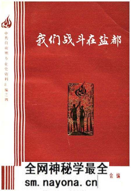 《我们战斗在盐都 上》.pdf电子版_四川省志预览图
