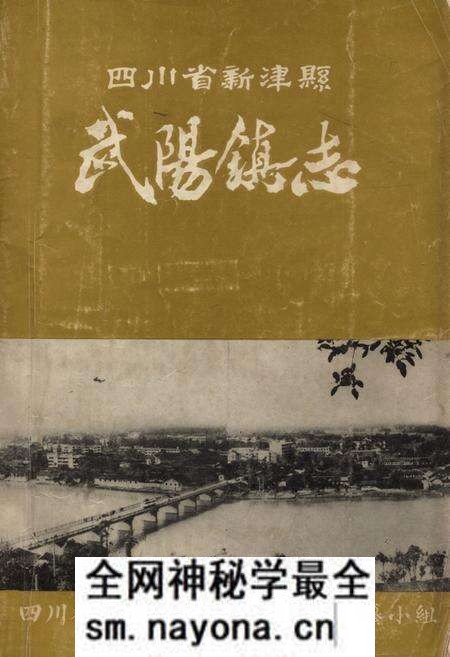《四川省新津县武阳镇志》.pdf电子版_四川省志预览图
