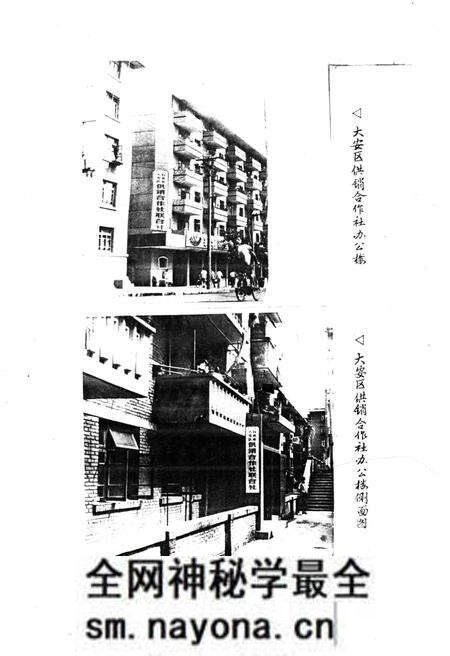 《大安区供销合作志》.pdf电子版_四川省志预览图3