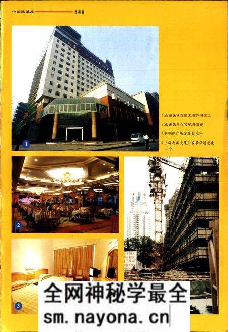 《中国改革志 西藏卷》.pdf电子版_西藏自治区志预览图3