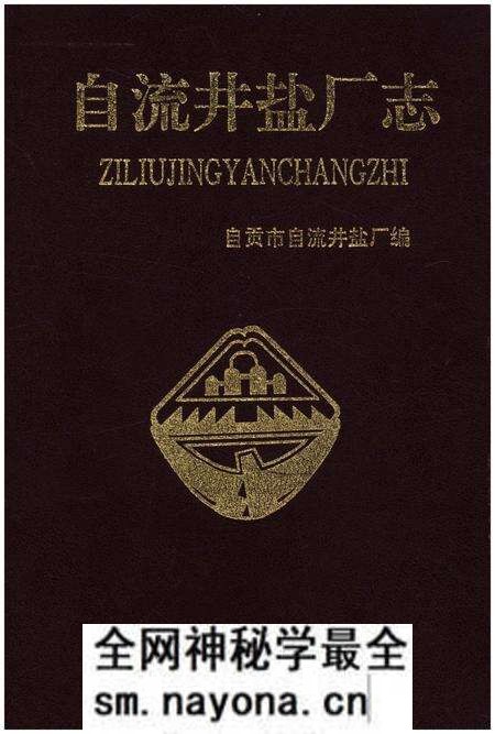 《自流井盐厂志》.pdf电子版_四川省志预览图 《自流井盐厂志》.pdf电子版_四川省志预览图