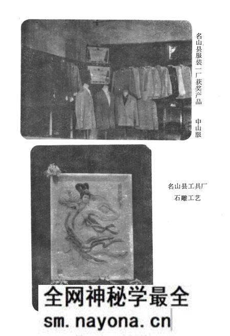 《名山县手工业志》.pdf电子版_四川省志预览图3