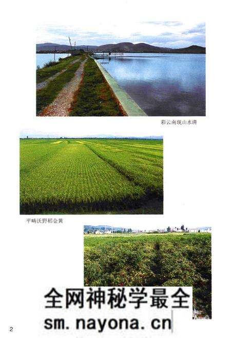 《大波那村志》.pdf电子版_云南省志预览图5