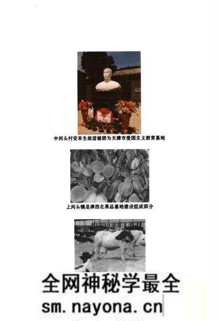 《上河头镇志》.pdf电子版_天津市志预览图4
