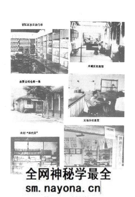 《夹江县供销合作社志》.pdf电子版_四川省志预览图5