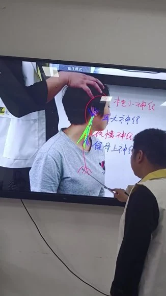 王灿易《道昊正筋骨点穴研修班》视频139集