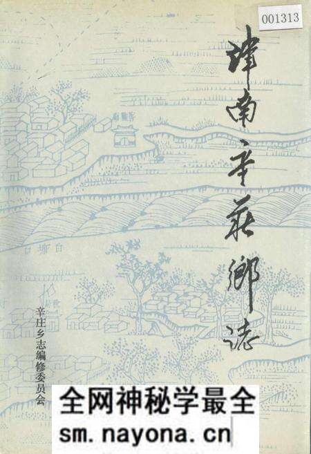 《津南辛庄乡志》.pdf电子版_天津市志预览图