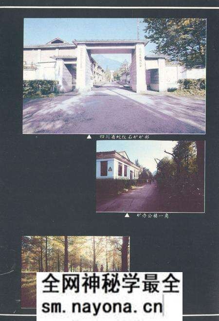 《四川省蛇纹石矿矿志1950-1990》.pdf电子版_四川省志预览图2