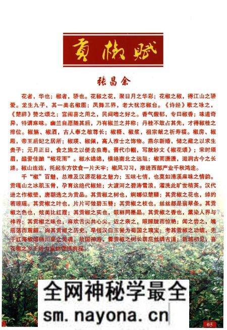 《汉源简志1786-2013》.pdf电子版_四川省志预览图5