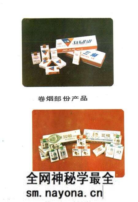 《什邡卷烟厂厂志》.pdf电子版_四川省志预览图4