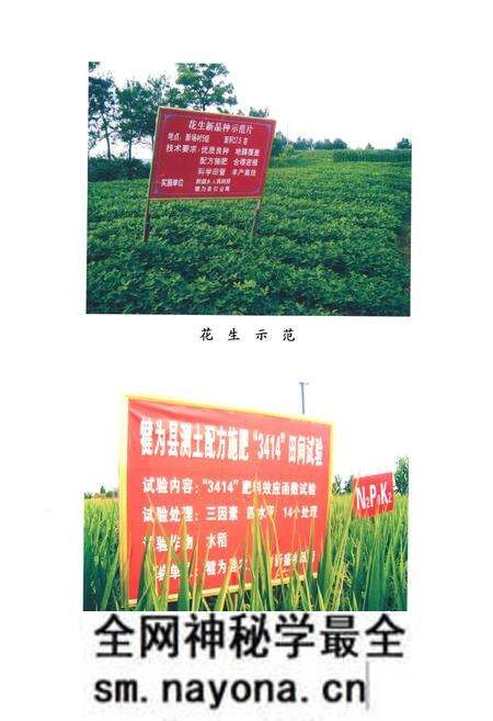 《犍为县新盛乡志》.pdf电子版_四川省志预览图3