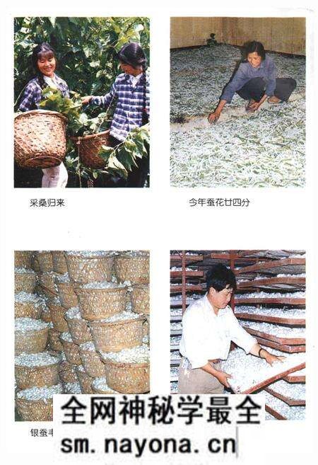 《姚家埭村志》.pdf电子版_浙江省志预览图4 《姚家埭村志》.pdf电子版_浙江省志预览图4