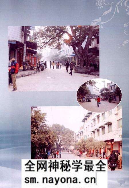 《乐至县良安镇志(1986-2005)》.pdf电子版_四川省志预览图5 《乐至县良安镇志(1986-2005)》.pdf电子版_四川省志预览图5