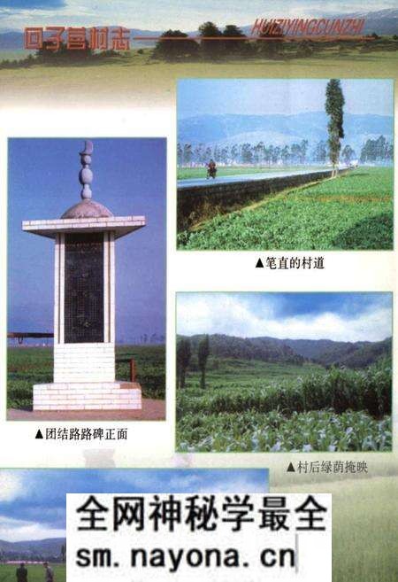 《回子村志》.pdf电子版_云南省志预览图2