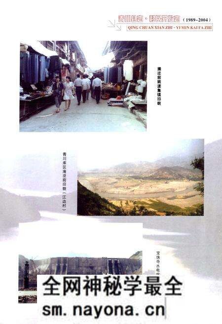 《《青川县志移民开发志(1989-2004)》》.pdf电子版_四川省志预览图5