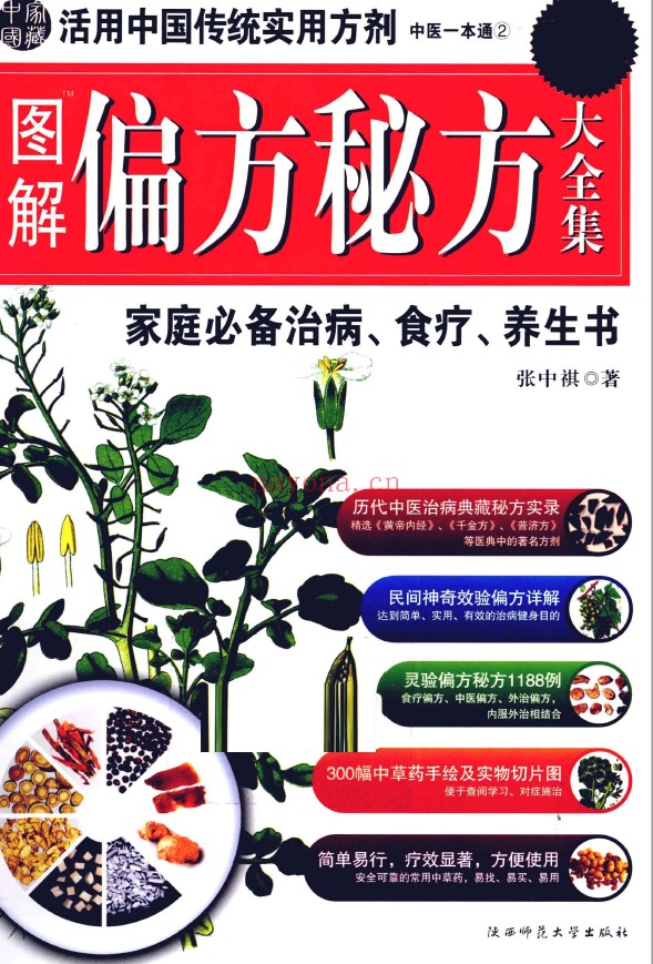 图解偏方秘方大全集 家庭必备治病、食疗、养生书 超值白金版pdf