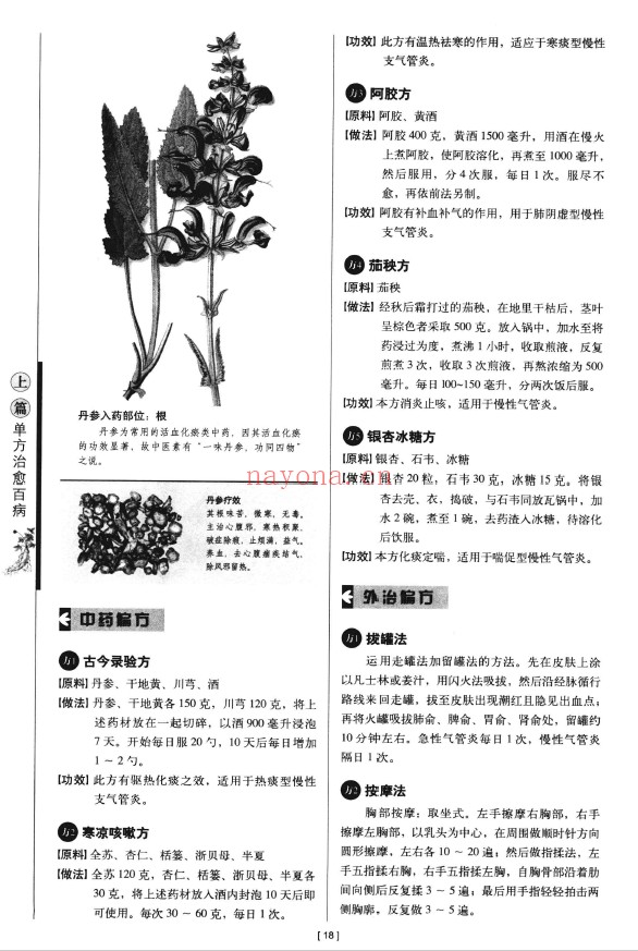 图解偏方秘方大全集 家庭必备治病、食疗、养生书 超值白金版pdf