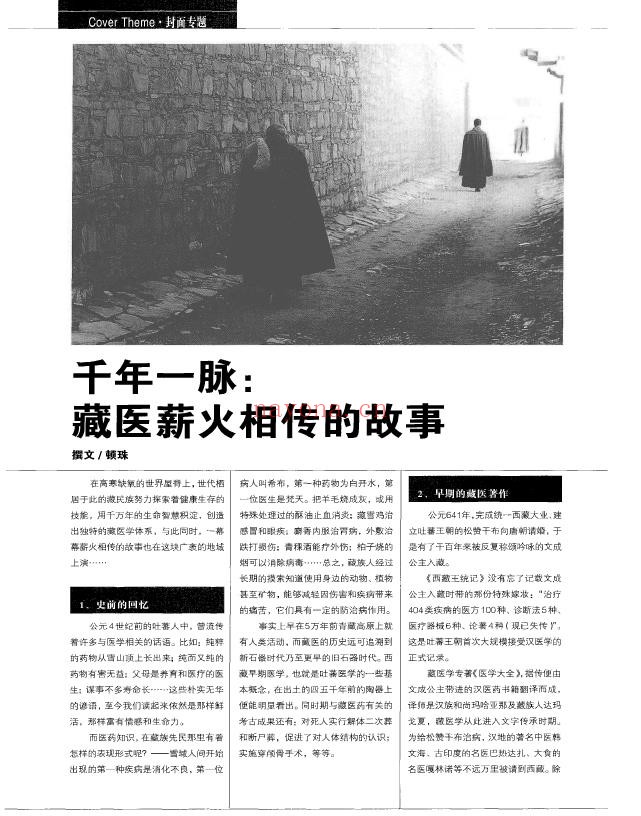 千年一脉_藏医薪火相传的故事