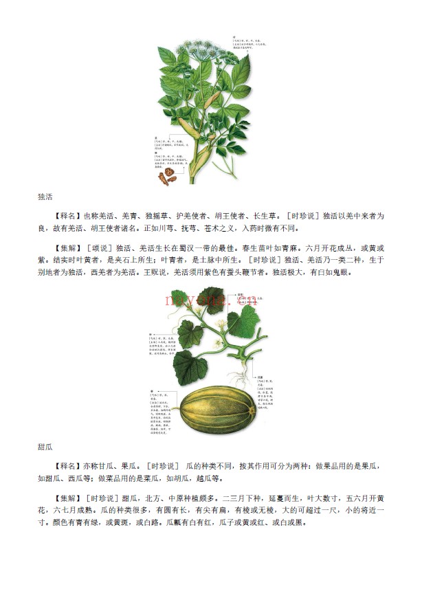 图解神农本草经pdf