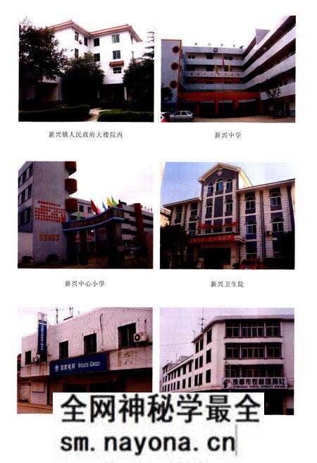《双流县新兴镇志(2005年本)》.pdf电子版_四川省志预览图4