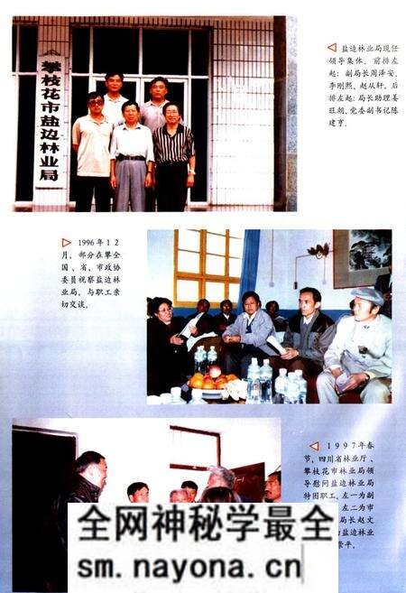 《《攀枝花市盐边林业局志》》.pdf电子版_四川省志预览图3