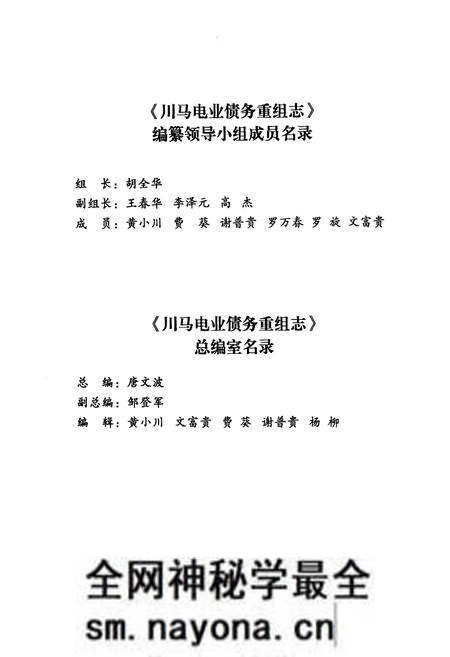 《川马电业债务重组志》.pdf电子版_四川省志预览图2