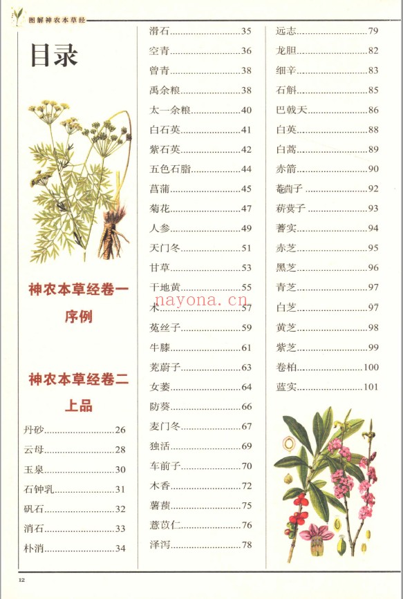 图解神农本草经（经典图解畅销品牌）pdf