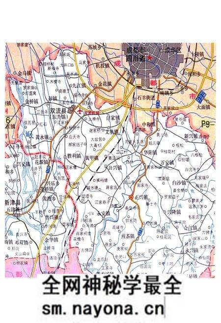 《双流县正兴镇志(2005年本)》.pdf电子版_四川省志预览图2