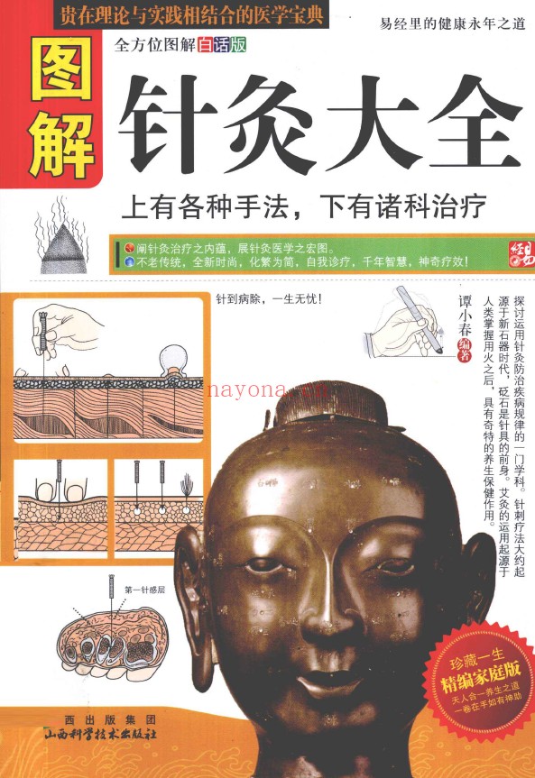 图解针灸大全 上有各种手法 下有诸科治疗pdf