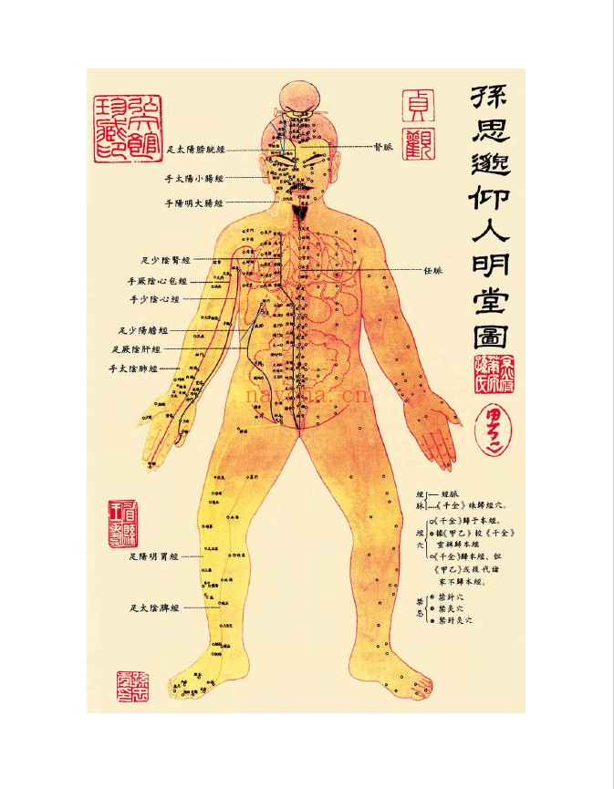 图解黄帝内经·灵枢+素问(全2册,白话彩插典藏版)pdf