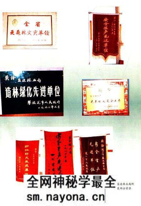 《《攀枝花市盐边林业局志》》.pdf电子版_四川省志预览图4