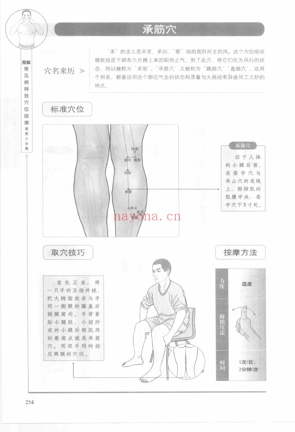 图解小穴位大健康 常见病特效穴位按摩速查大全集pdf