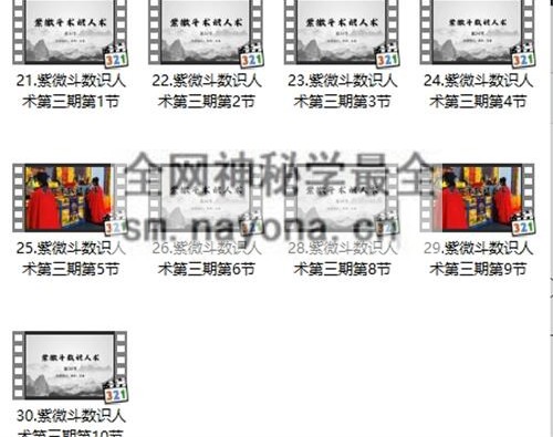 F239知易而行 东篱老师  紫微斗数识人术一二三期合集 29集视频课