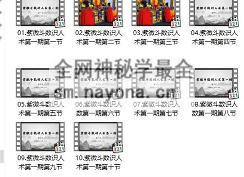 F239知易而行 东篱老师  紫微斗数识人术一二三期合集 29集视频课