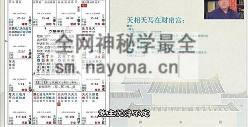 F239知易而行 东篱老师  紫微斗数识人术一二三期合集 29集视频课