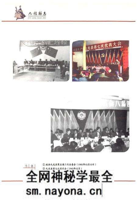 《九龙县志·续篇(1986-2000年)》.pdf电子版_四川省志预览图4