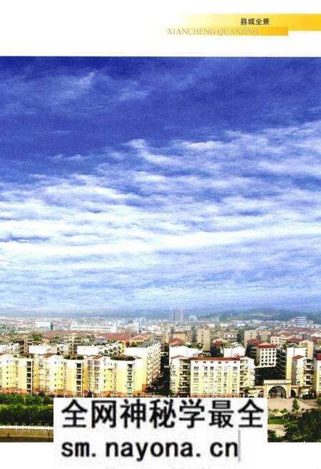 《岳池县志(1986-2002)》.pdf电子版_四川省志预览图4