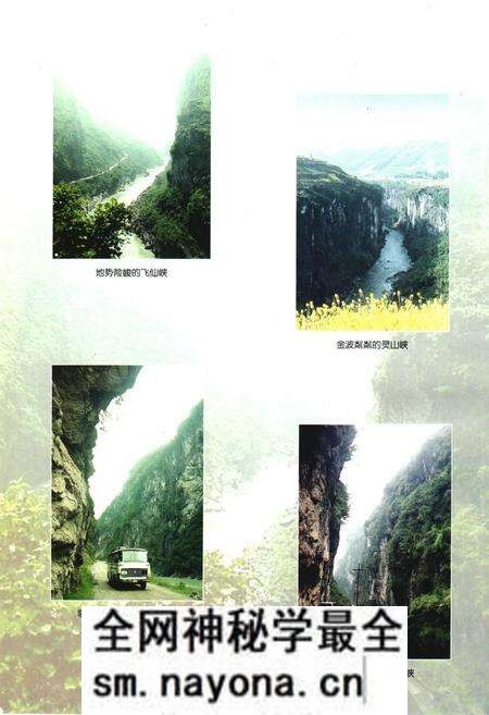 《芦山县志》.pdf电子版_四川省志预览图5