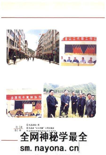 《九龙县志·续篇(1986-2000年)》.pdf电子版_四川省志预览图5