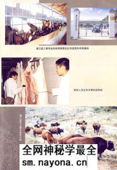 《通江县畜牧食品志(1986-2003年)》.pdf电子版_四川省志预览图4 《通江县畜牧食品志(1986-2003年)》.pdf电子版_四川省志预览图4